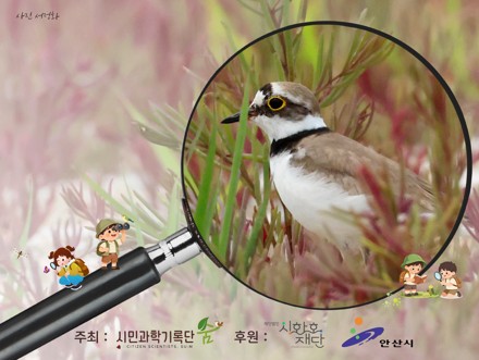 2026 시화호 대부바다향기테마파크 생물다양성 대탐사