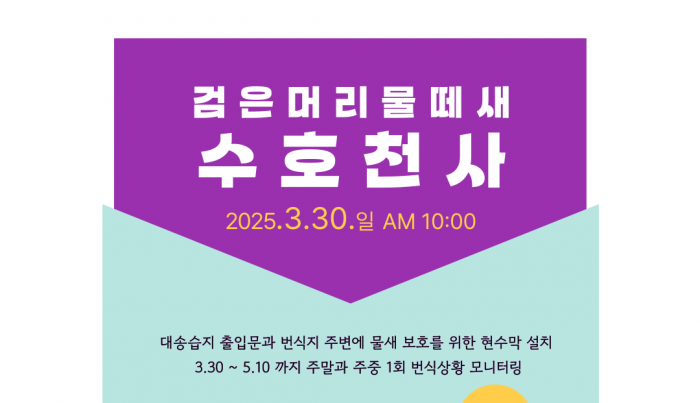 [250330] 검은머리물떼새 수호천사 활동