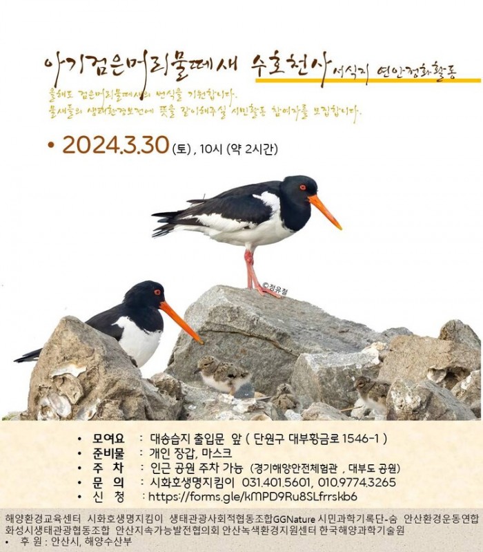 [실천사업] 아기검은머리물떼새 서식지 연안정화활동